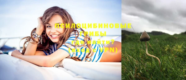гашишное масло Богородск