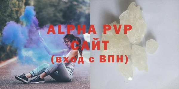 PSILOCYBIN Бородино
