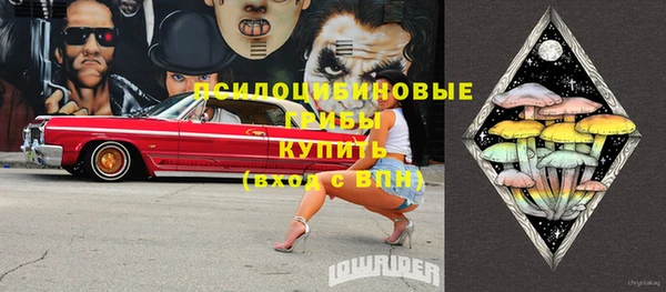 бошки Бронницы