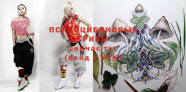 бошки Бронницы