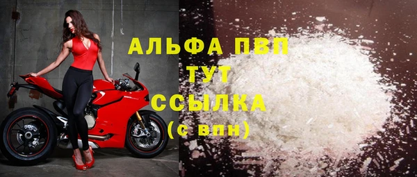 гашик Богданович
