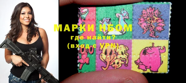 PSILOCYBIN Бородино