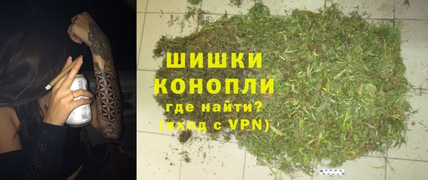 гашик Богданович
