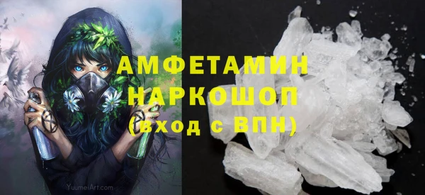гашик Богданович
