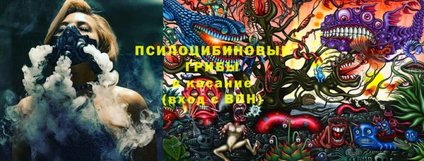 PSILOCYBIN Бородино